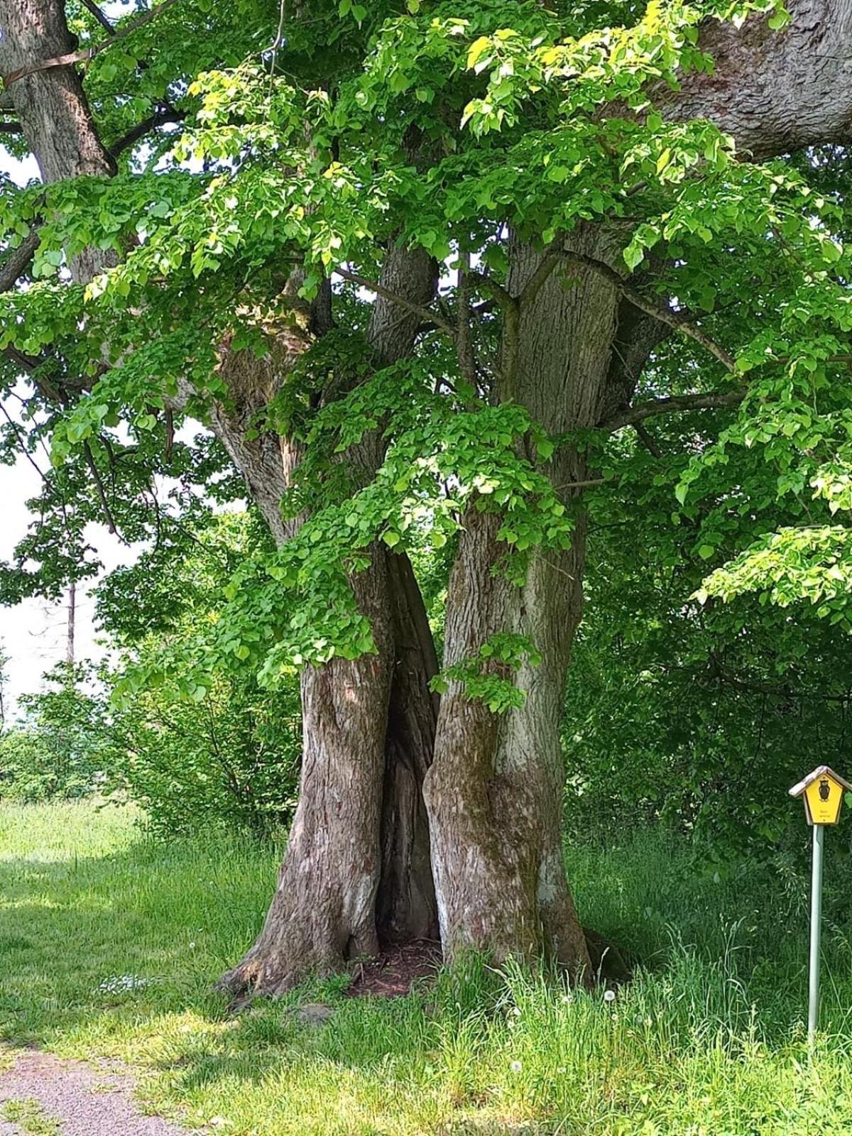 Ferienwohnung Am Hochrhoener Andenhausen Bagian luar foto