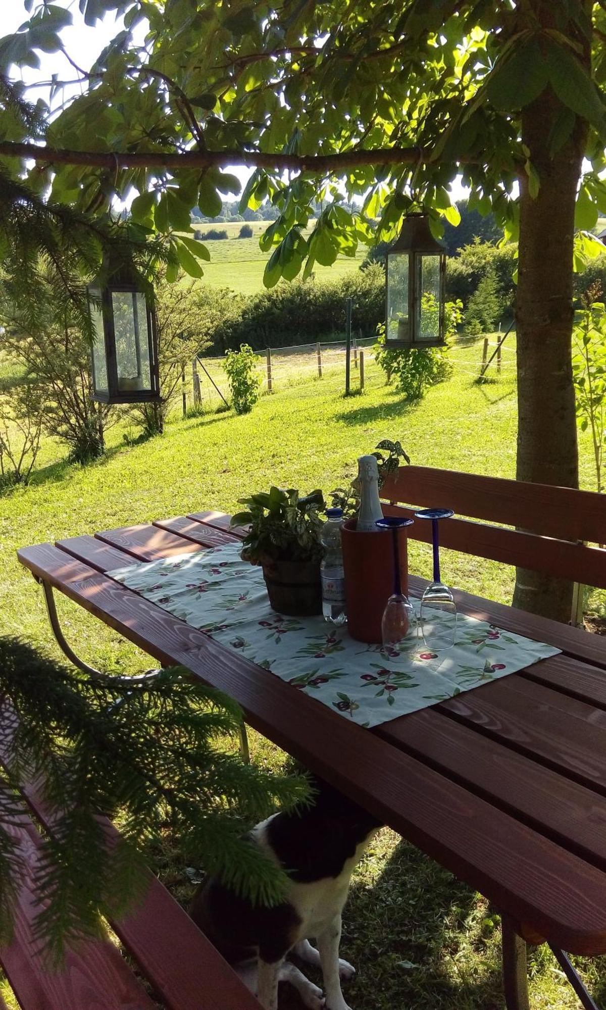 Ferienwohnung Am Hochrhoener Andenhausen Bagian luar foto