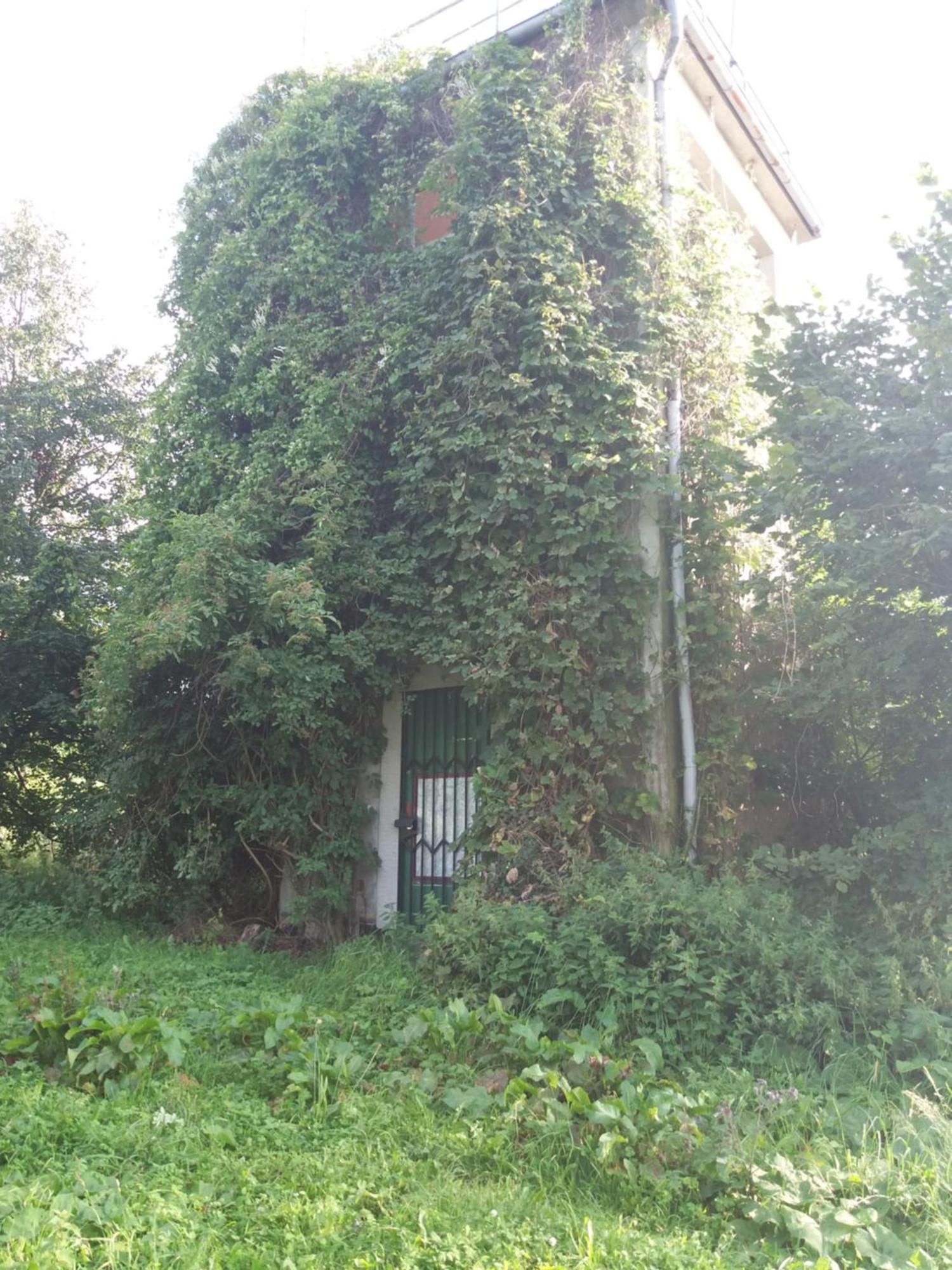 Ferienwohnung Am Hochrhoener Andenhausen Bagian luar foto